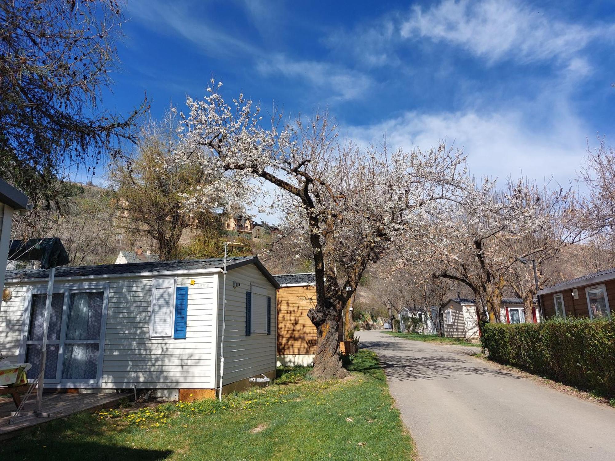 Camping L'Enclave Mobil-Home Estavar 外观 照片